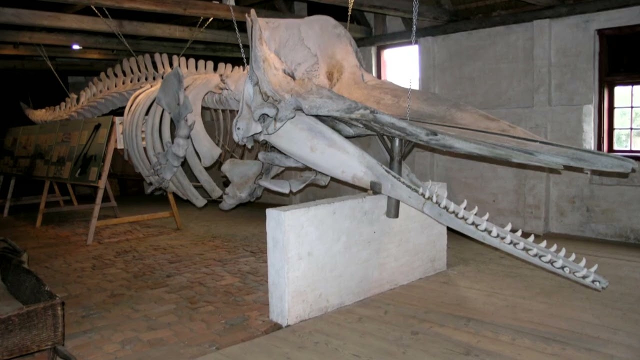 3. Kommandørsten Matthis Svensen Schouw DK