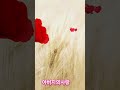 아버지의사랑 #트로트신곡#유경노래