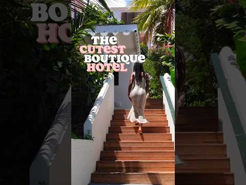Video: The Pink Fancy Hotel in St Croix, US Maagdeneiland