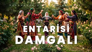 Entarisi Damgalı - Psychedelic Anatolian Rock Cover