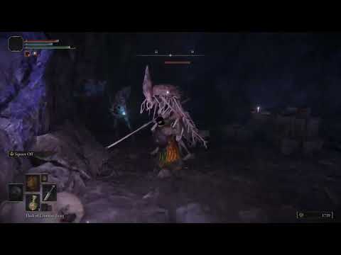 Welcome to Caelid