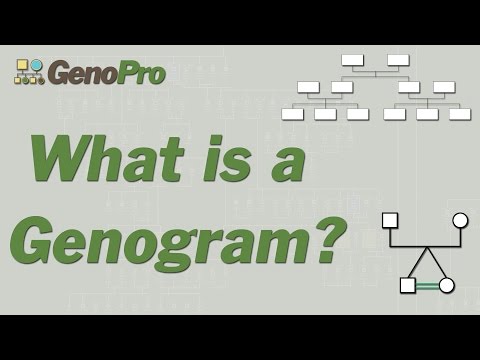 ቪዲዮ: Ecomaps እና Genograms ምንድን ናቸው?