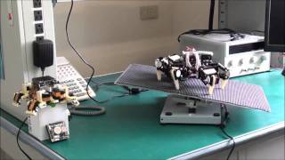 Roboard Spider Iv Rm-G144 Accelerator Integration