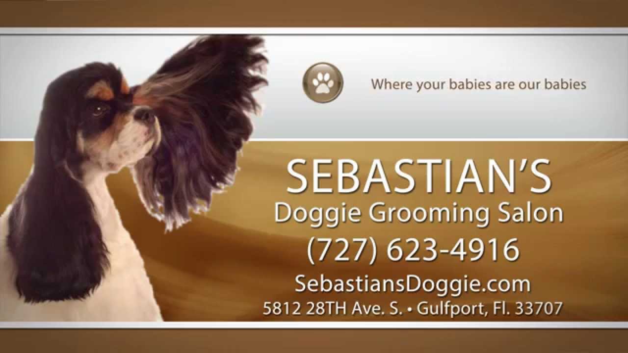 Sebastians Doggie Grooming Salon Gulfport FL 