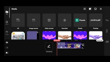 How To Make Invert Color On KineMaster