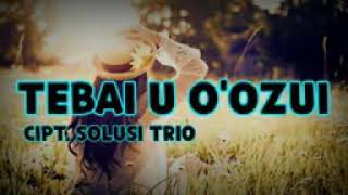 Download Lagu Karaoke Nias Moyo Silo Afi MP3