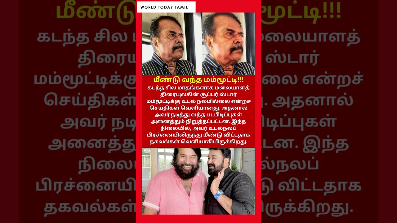 Breaking News Gold Bubble ALERT CRASH  - YouTube Auto PHP Script