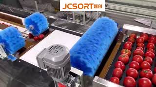 Famous Tomato Grading Machine, Tomato Weight Grader, Tomato Sorting Machine, Tomato Processing Equipment Net Worth