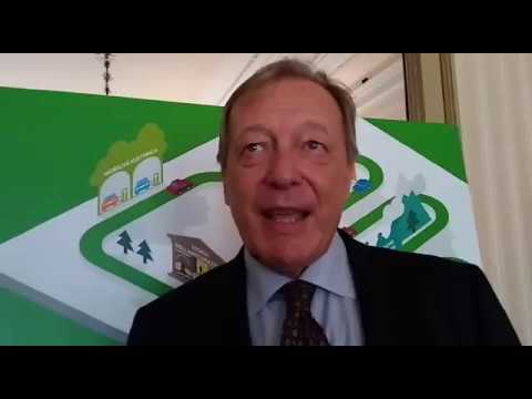 Intervista a Vittorio Passaquindici Townmanager di Share'nGo