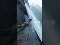Gravity-defying pursuit near the massive stone deity and roaring falls. 🤯 #Wildlife #Climbing