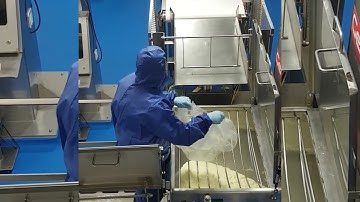 Gericke Semi Automatic bag dump station