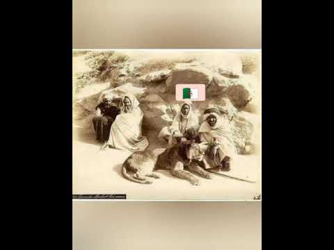 اخر اسود الجزائر