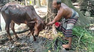 Bath Time Ai Gorom A Gosol Must Needed