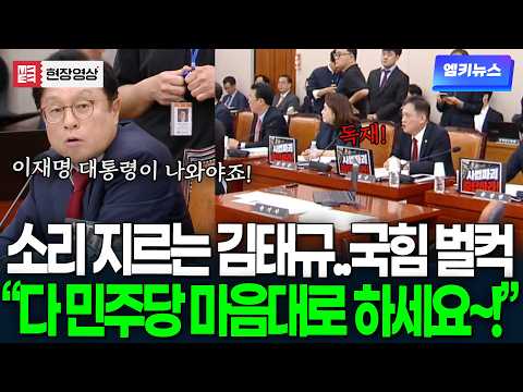 "다 민주당 마음대로~!" 소리 지르는 김태규..국민의힘 단체로 '벌컥'