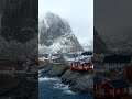 City of Nature love ❤️ #cinematic #city #nature #landscape
