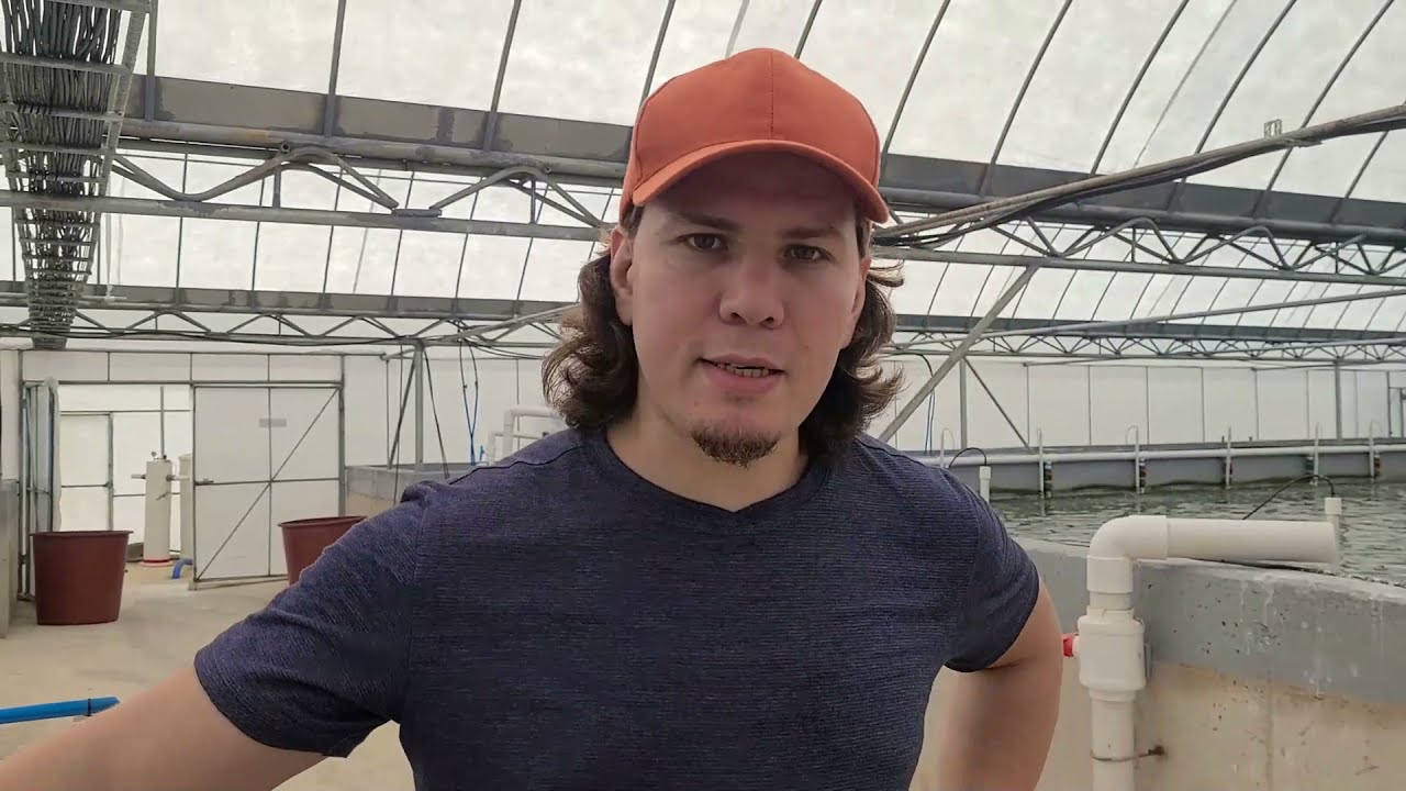 Super-intensive Indoor Shrimp Farming technology + Intensive fish farming technology - KAMI SYS