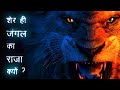 शेर को जंगल का राजा क्यों कहा जाता है ? | Lion The King of Jungle