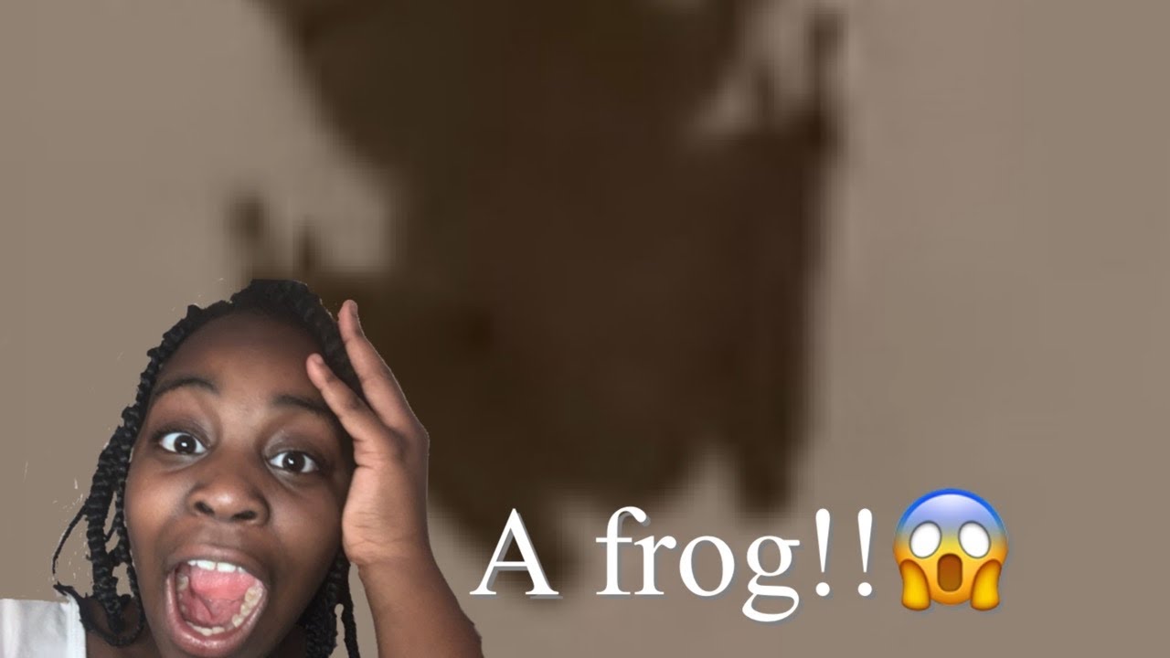 😱 OMG! THERES A FROG IN THE HOUSE 😱😰! YouTube