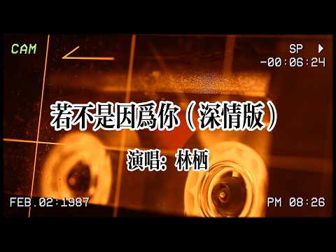 【华语金曲】林栖《若不是因為你（深情版）》：若不是因為你我依然在風雨裏，飄來蕩去我早已經放棄💔 #华语金曲 #华语流行 #若不是因为你 #林栖