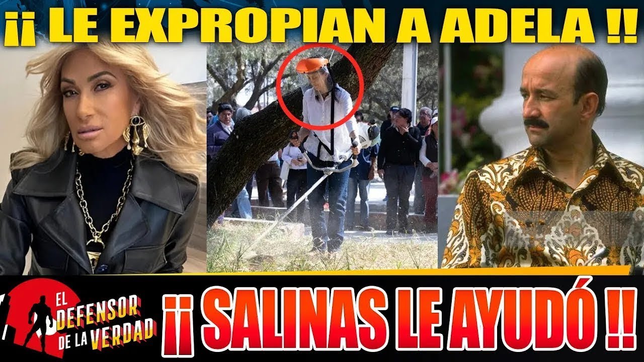 ADELA MICHA LLORA EN VIVO POR EXPROPIACIÓN DE SU MANSIÓN!!