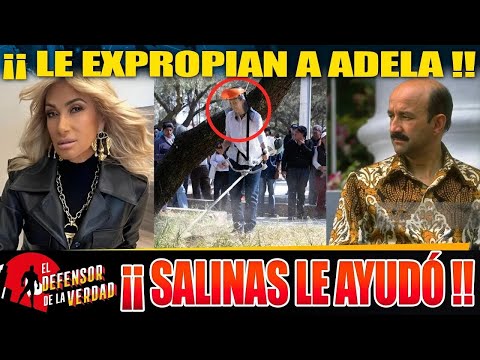 ADELA MICHA LLORA EN VIVO POR EXPROPIACIÓN DE SU MANSIÓN!!
