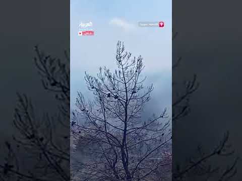 حرائق جديدة في طريق النبعين بجبال كسب بريف اللاذقية