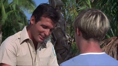 Flipper And The Shark Cage