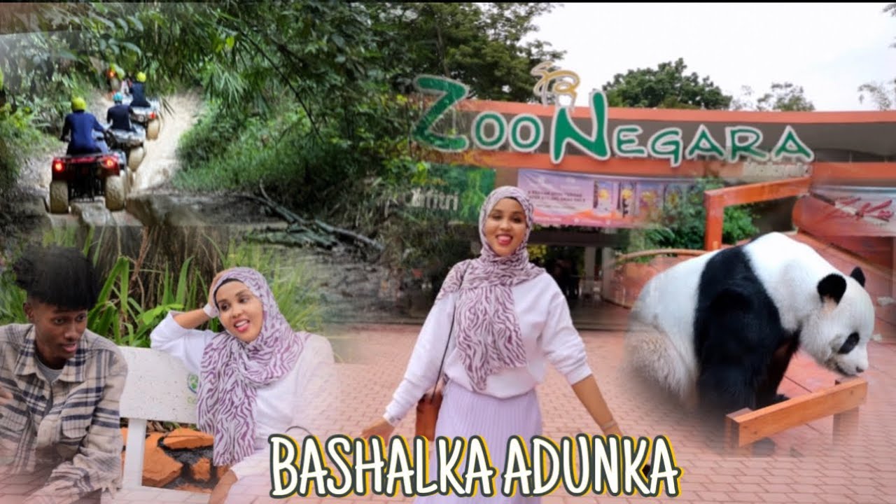 DALXIIS IYO MANTA HAZAZI IYO CUMEER OO LAGA CELCELINAAYE IN LIBAX SANKA KASO TABTAAN