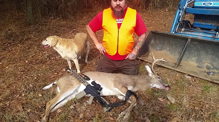 Oh Deer. 2017 MS Deer Rut