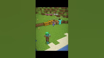 Minecraft Java vs Bugrock Zombie Drop Moment