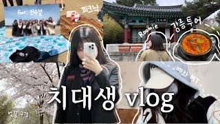 치대생 vlog | 만우절 기념 교복 입고 피크닉 & 대학교 수업 👩‍🏫 | 🌸 벚꽃 보러 갈 사람? | 예과 MT | 일본인 친구랑 강릉투어