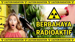 PISANG: Radioaktif Alami di Meja Makan Anda Kalian Wajib Tahu!