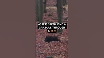 Assess speed, find a gap, pull through & squeeze.