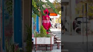 WHITEFOX - 39 Mathieson Avenue, North Fremantle