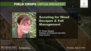 Field Crops Virtual Breakfast: Scouting for Weed Escapes & Fall Management