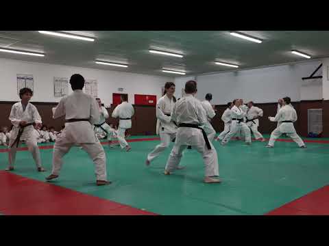 Le jyu ippon kumite