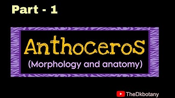 Anthoceros (bryophytes) part -1 morphology and anatomy of gametophyte