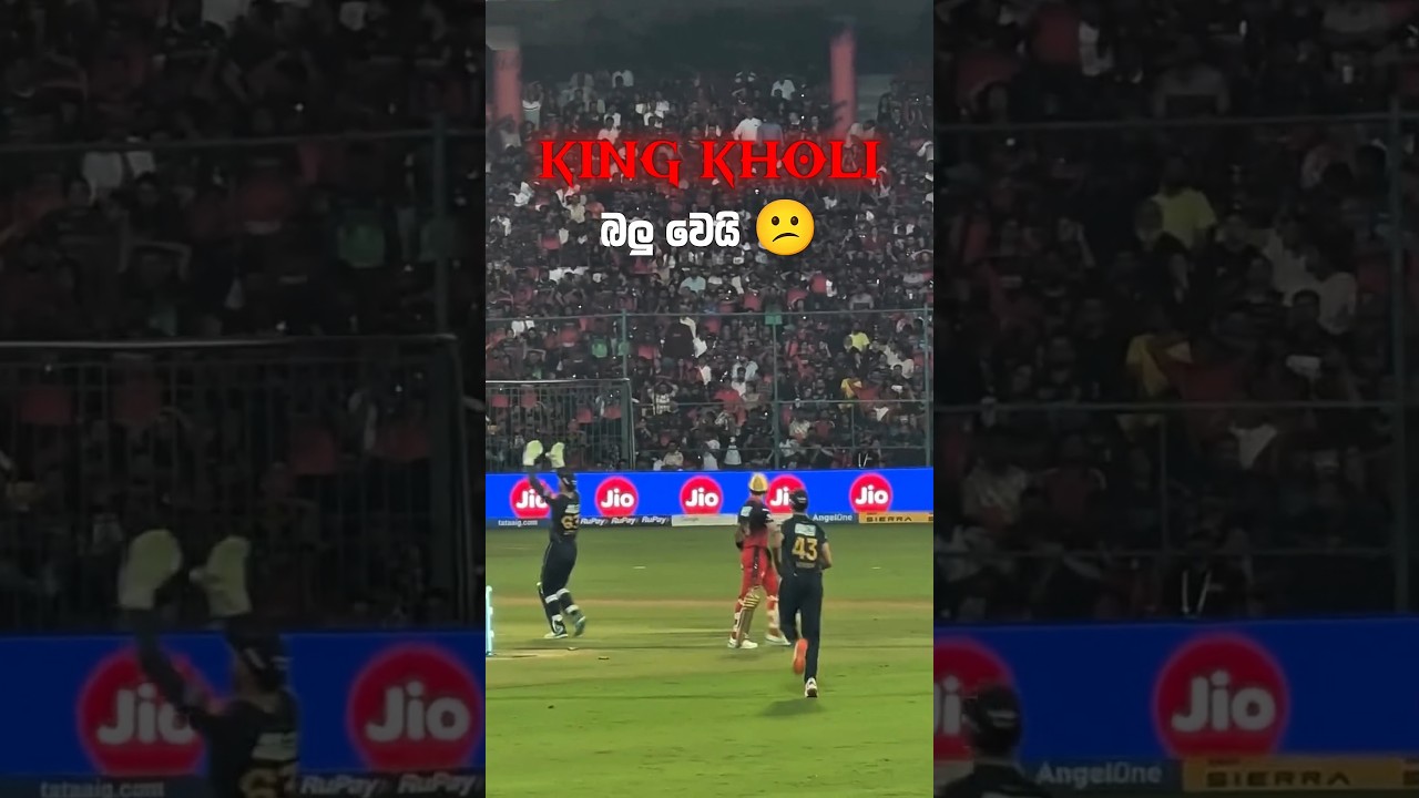කෝලිගෙ පෑන්ස්ලා සෙට් එක කෝ 🫤 #srilankacricket #shorts #viratkohli