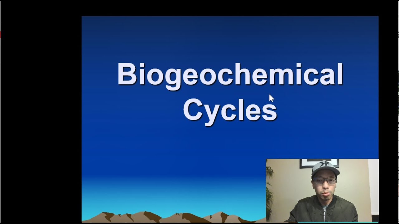 Biology: Living Earth- A#3: Biogeochemical Cycles (Mr. Wang's Biology ...