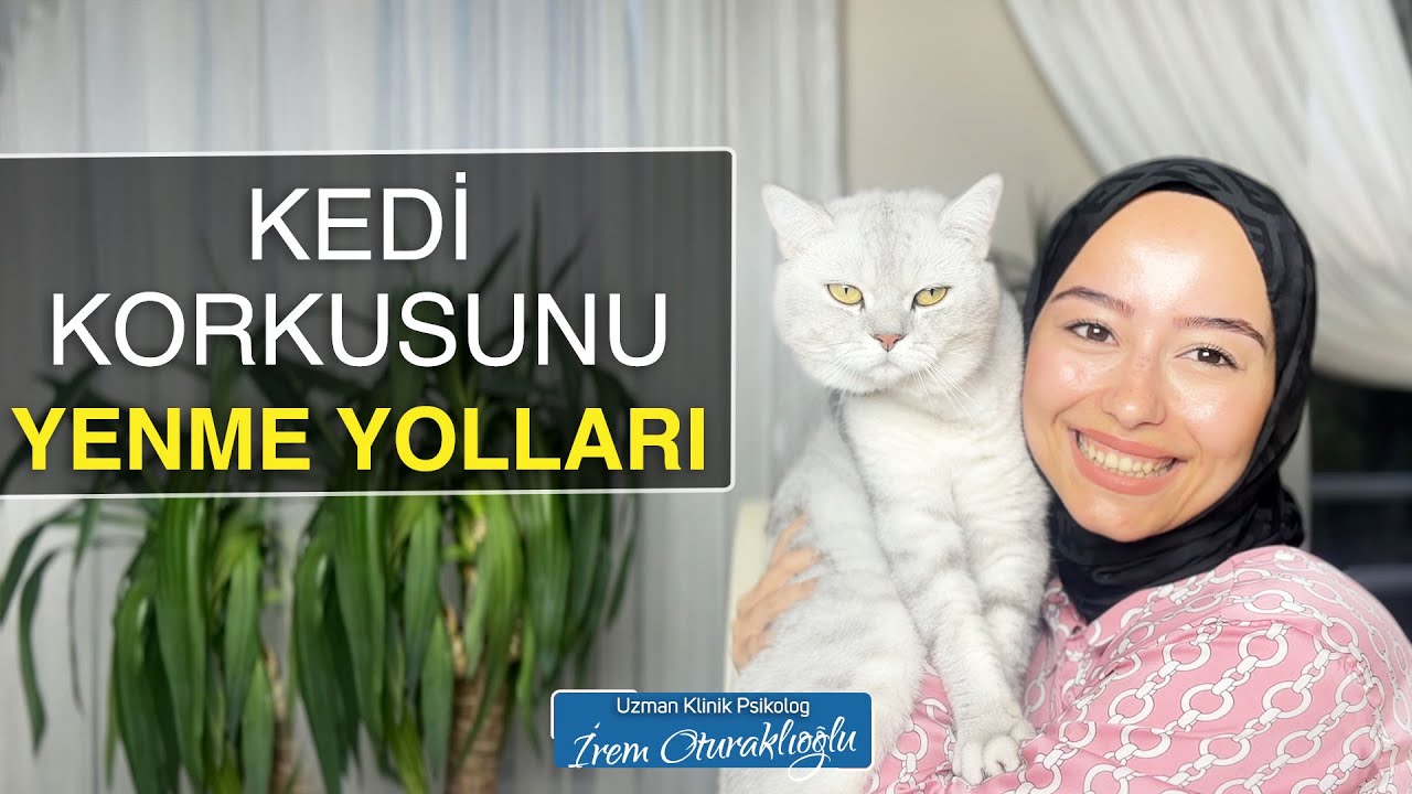 Kedi Korkusundan Kurtulun! | Psikolog İrem Oturaklıoğlu Kaya