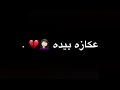 جابولي شايب