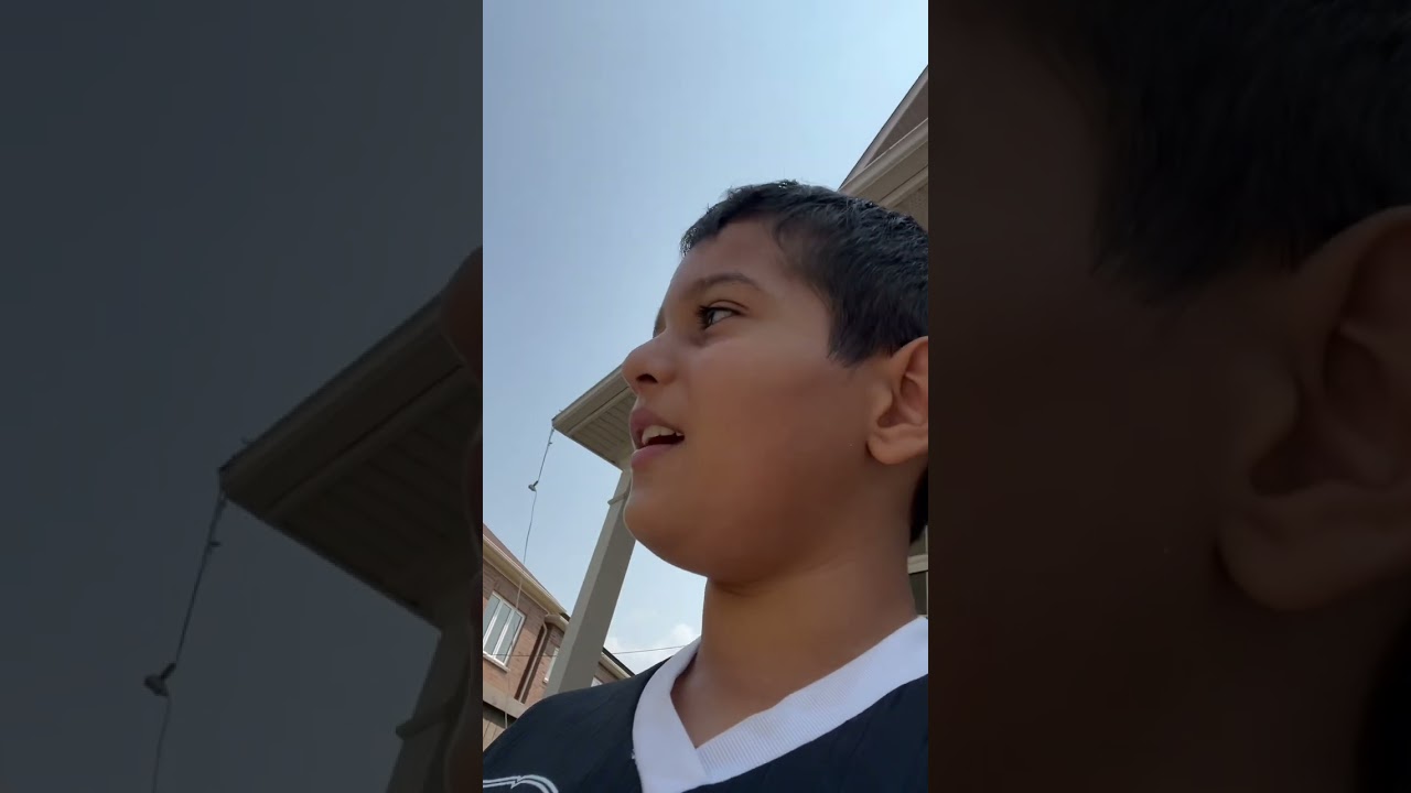 MY RC CARS TOUR 😎 