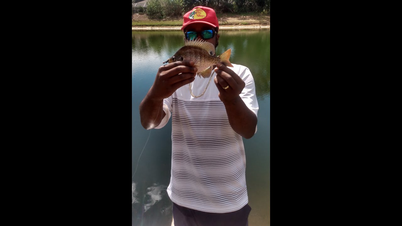 Professor Slabz Jigging For Pre Spawn Bluegills With A Surprise Bite 