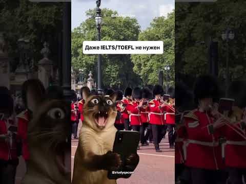Почему ты еще