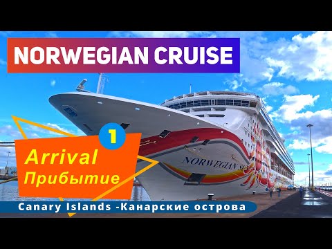 Video: Kolik stojí Cruise?