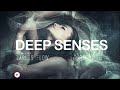 Darles Flow - Deep Senses | Melodica | Deep Progressive Melodic Mix