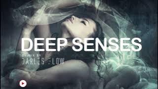 Darles Flow - Deep Senses | Melodica | Deep Progressive Melodic Mix