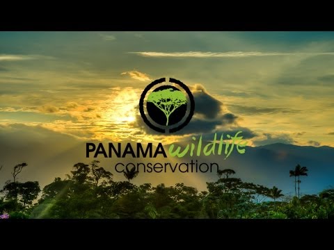 Santa Fe National Park PANAMA