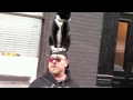 Ism glctheism meets cat man in nyc