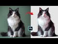 Best Way to Remove Complex Background in Photoshop | Photoshop Tutorial
